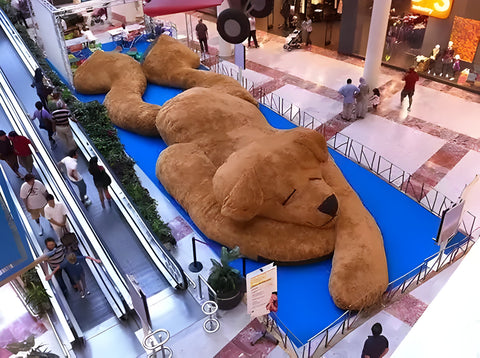 a very large brown bear on display in a museum