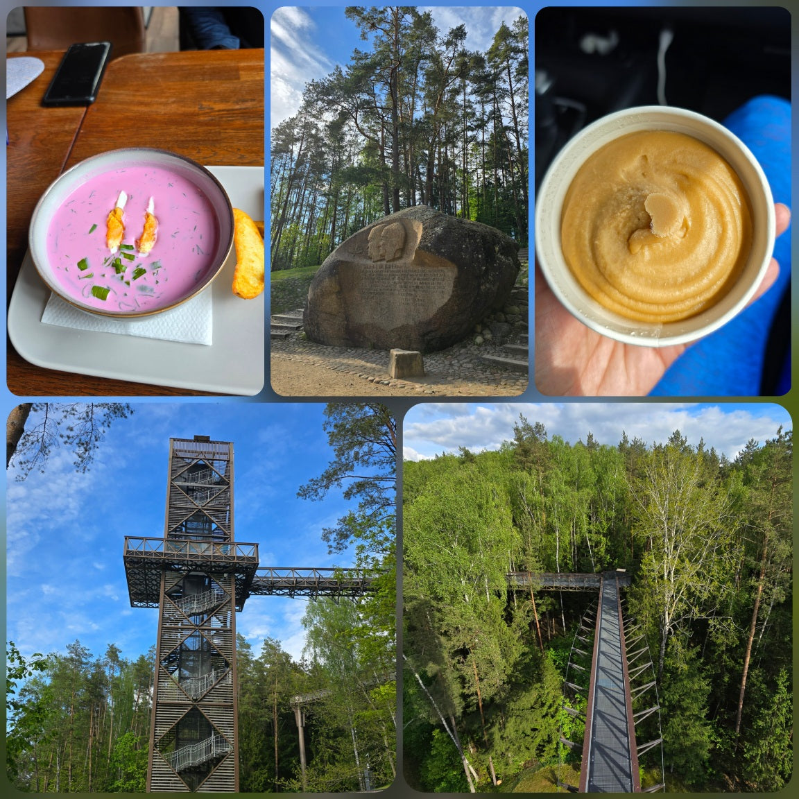 Tropical Bear Coffee Adventure in Lithuania