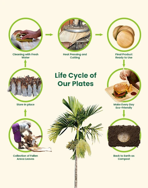 Areca Leaf Plates