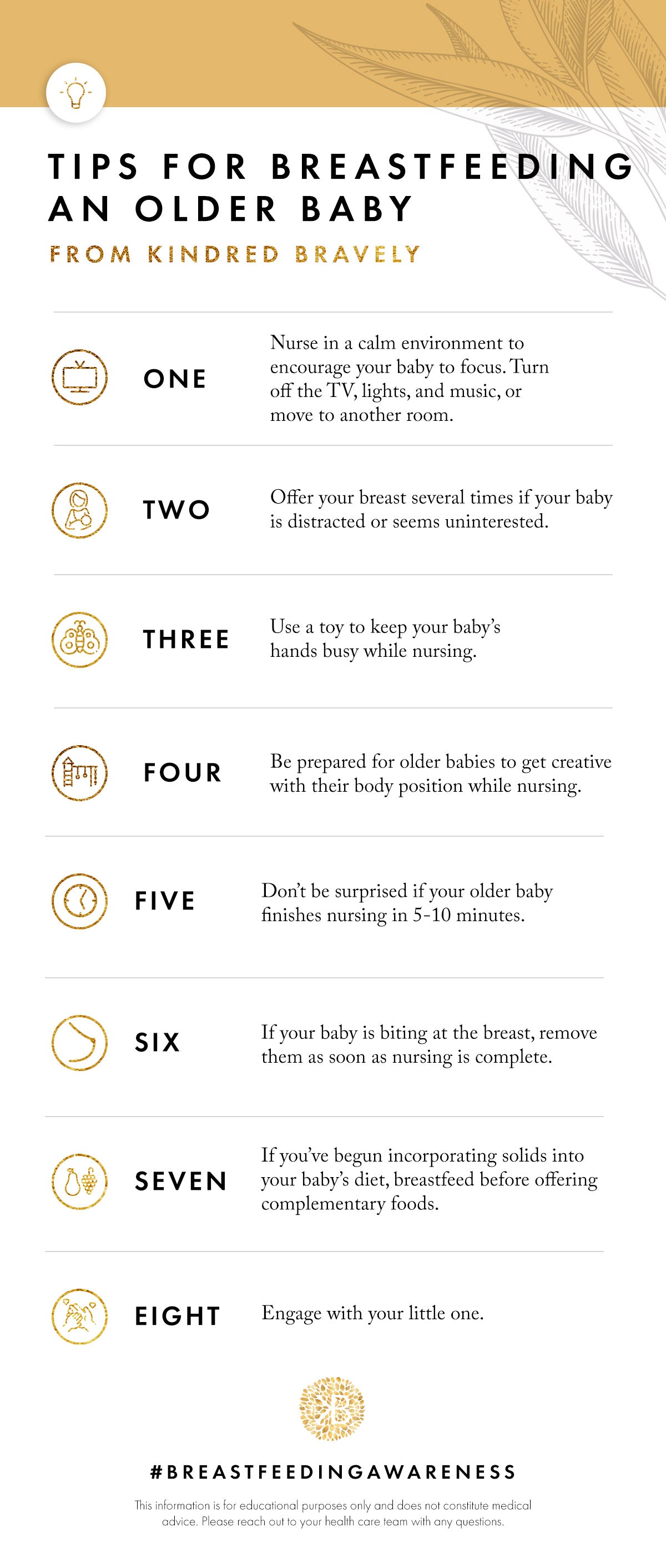 8 Tips for Breastfeeding an Older Baby – Kindred Bravely
