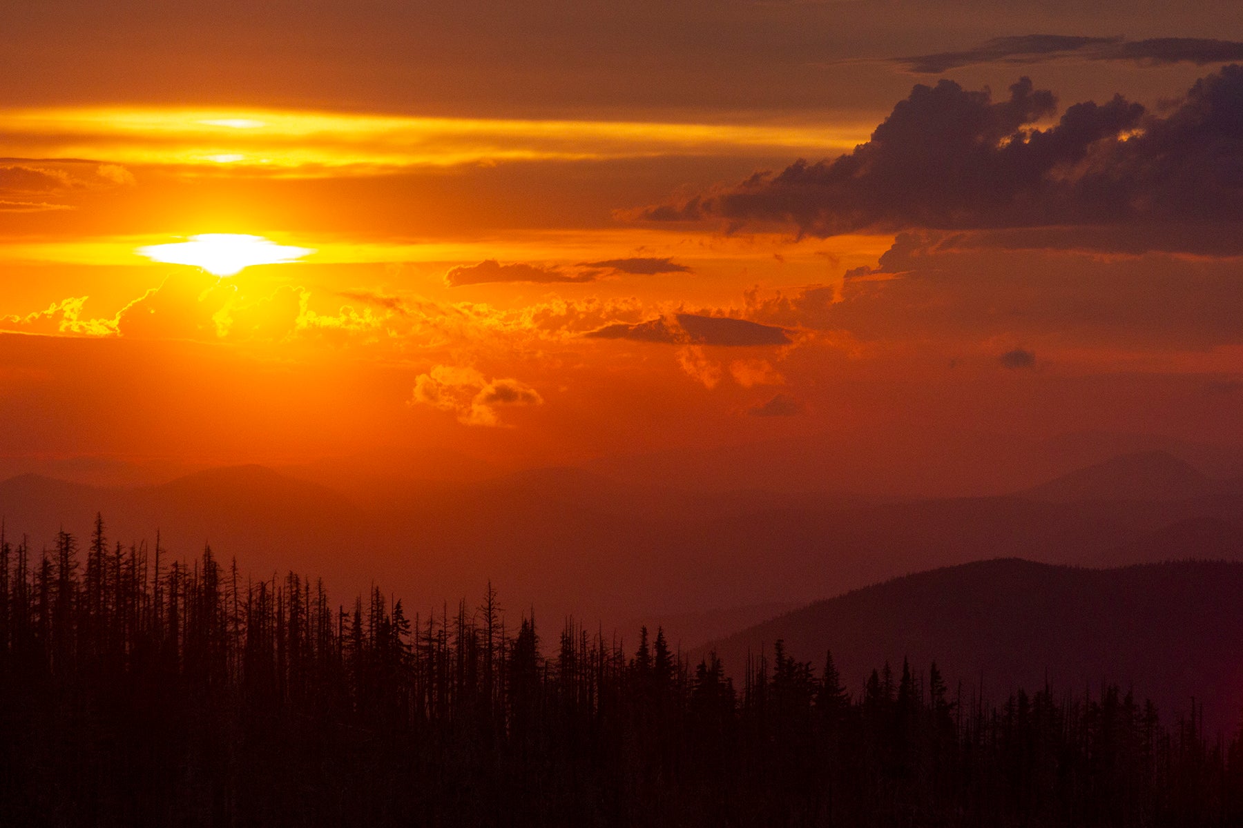 Cloud Cap – Photo: Christopher Lisle