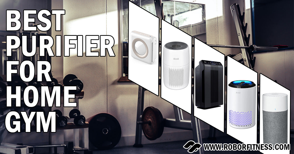 Best purifier for home gym