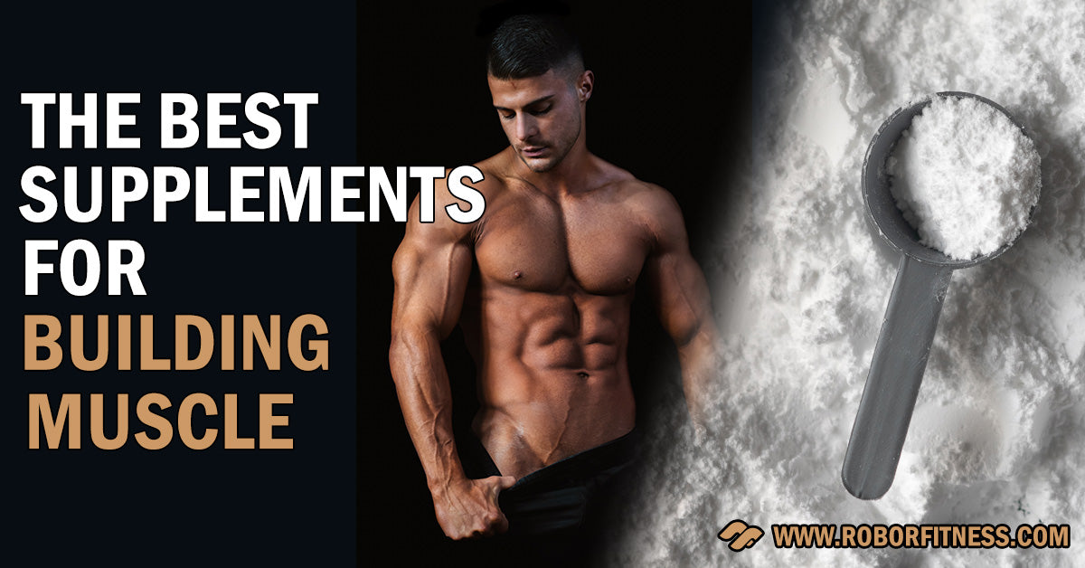 Best supplements for building muscle