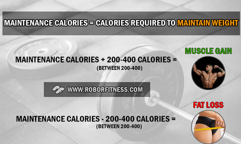 Calories needed to build muscle