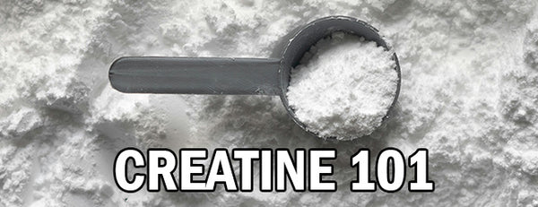 Creatine explained header