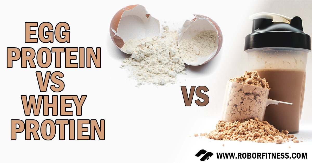 Egg Protein Vs Whey Protein By Robor Fitness