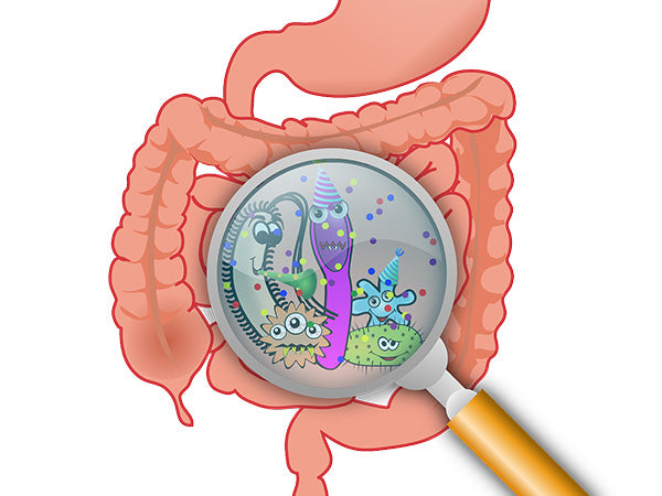 Gut health illustration