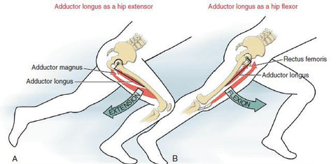 Hip extension example