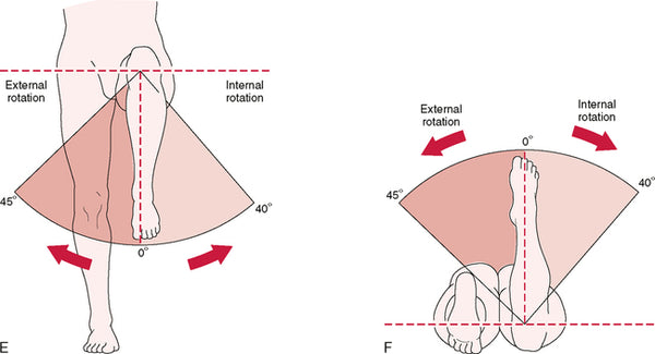 Internal and external hip rotation with bent knee