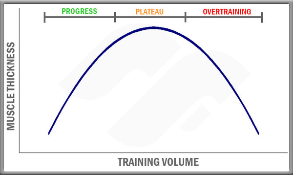 Inverted U-shaped training graph