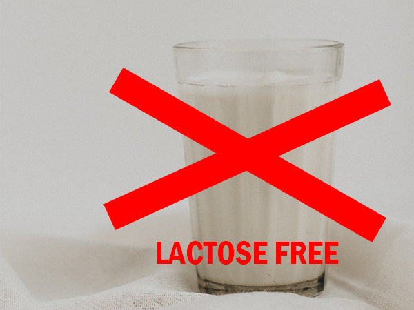 Vegan protein powder is lactose free