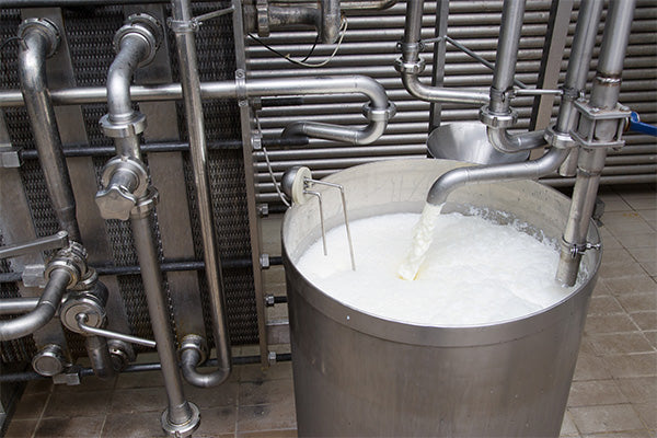 Milk processing plant