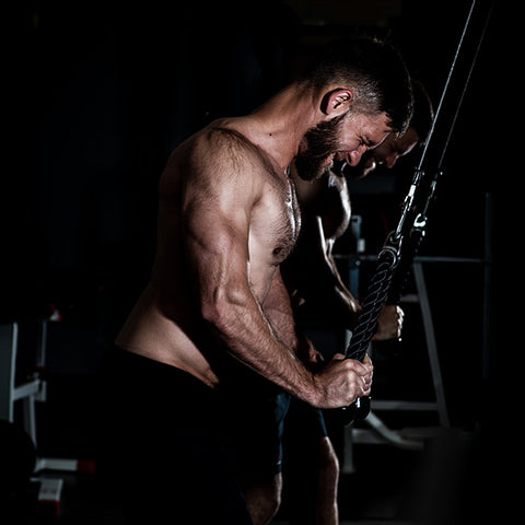 Triceps pushdown