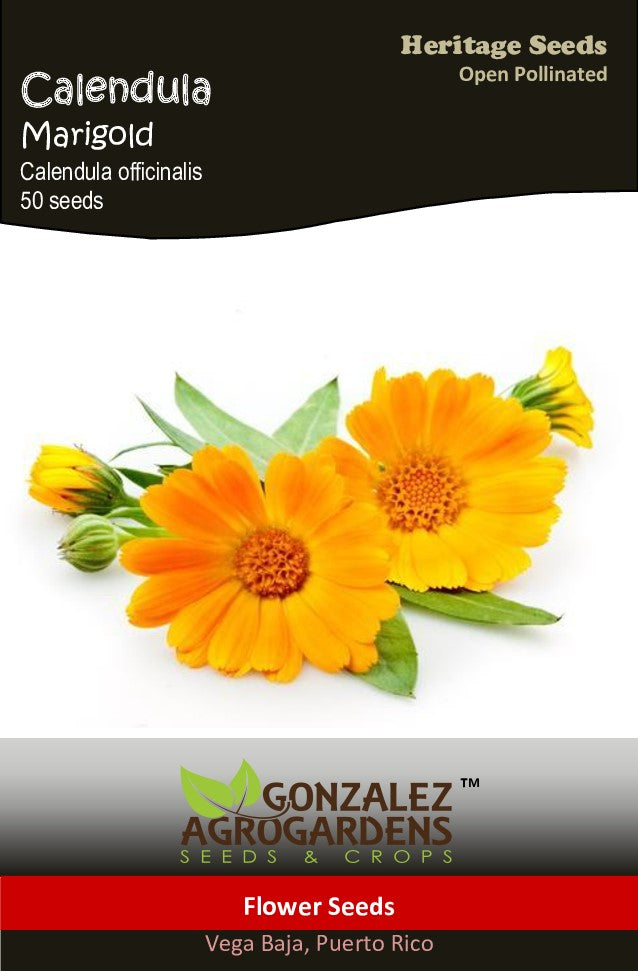 Calendula officinalis Marigold Seeds – Gonzalez AgroGardens