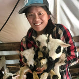Emily Tzeng with Finn lambs