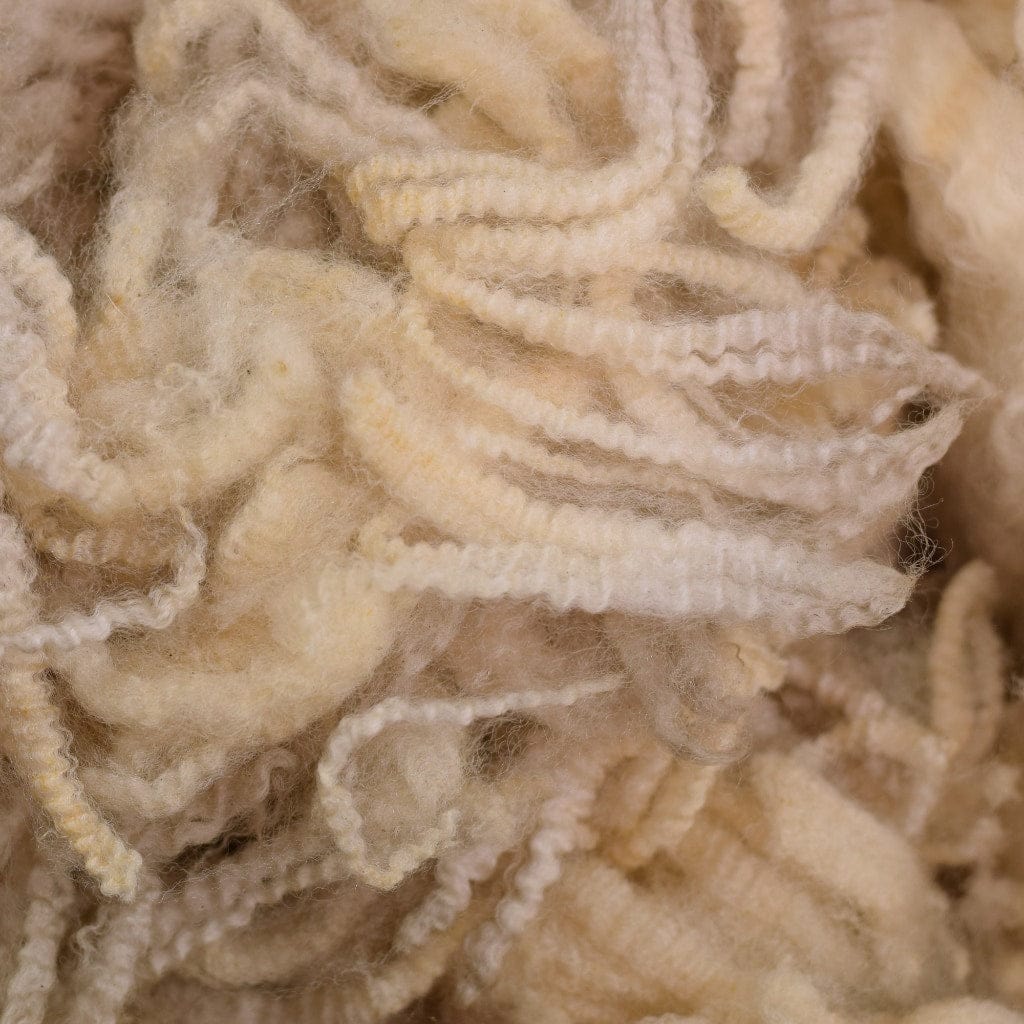 wool fibre