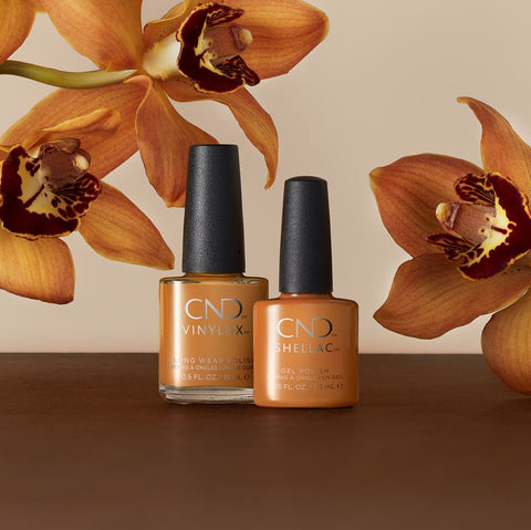 CND - Willow Talk