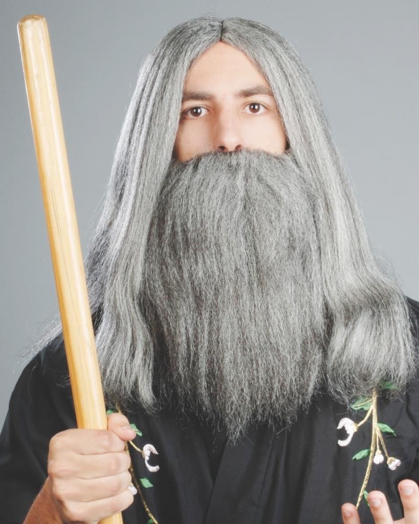 Wizard Wig & Beard Set