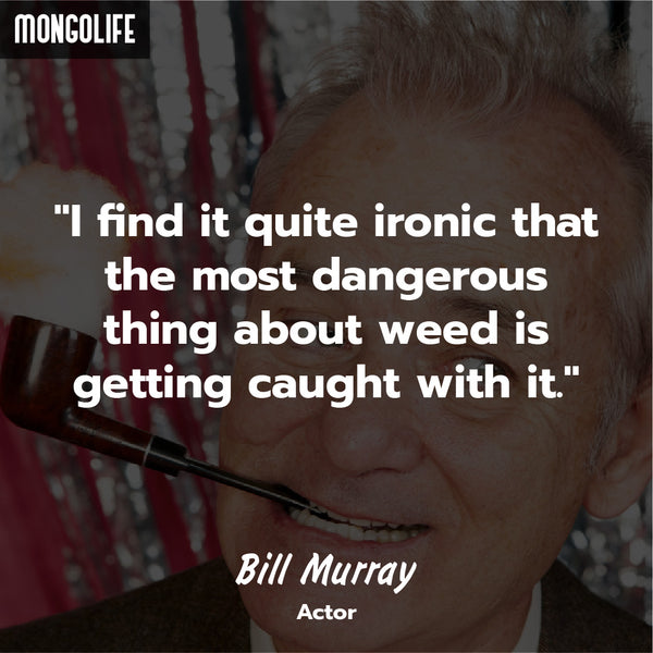 Bill Murray weed quote