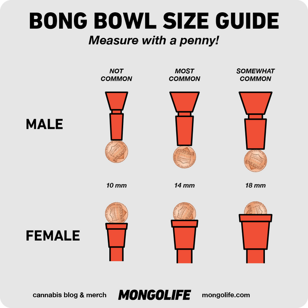 Bong bowl size guide infographic. Measure with a penny or dime.
