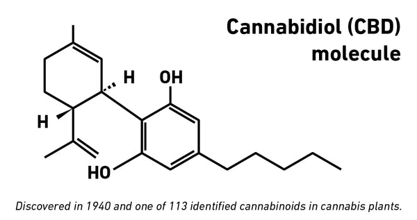 Molecular structure and factoid about Cannabidiol (CBD)