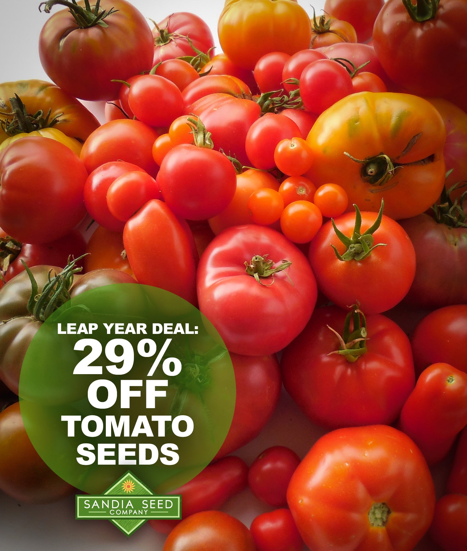 Best Heirloom Tomato Seeds on Sale! Sandia Seed Company