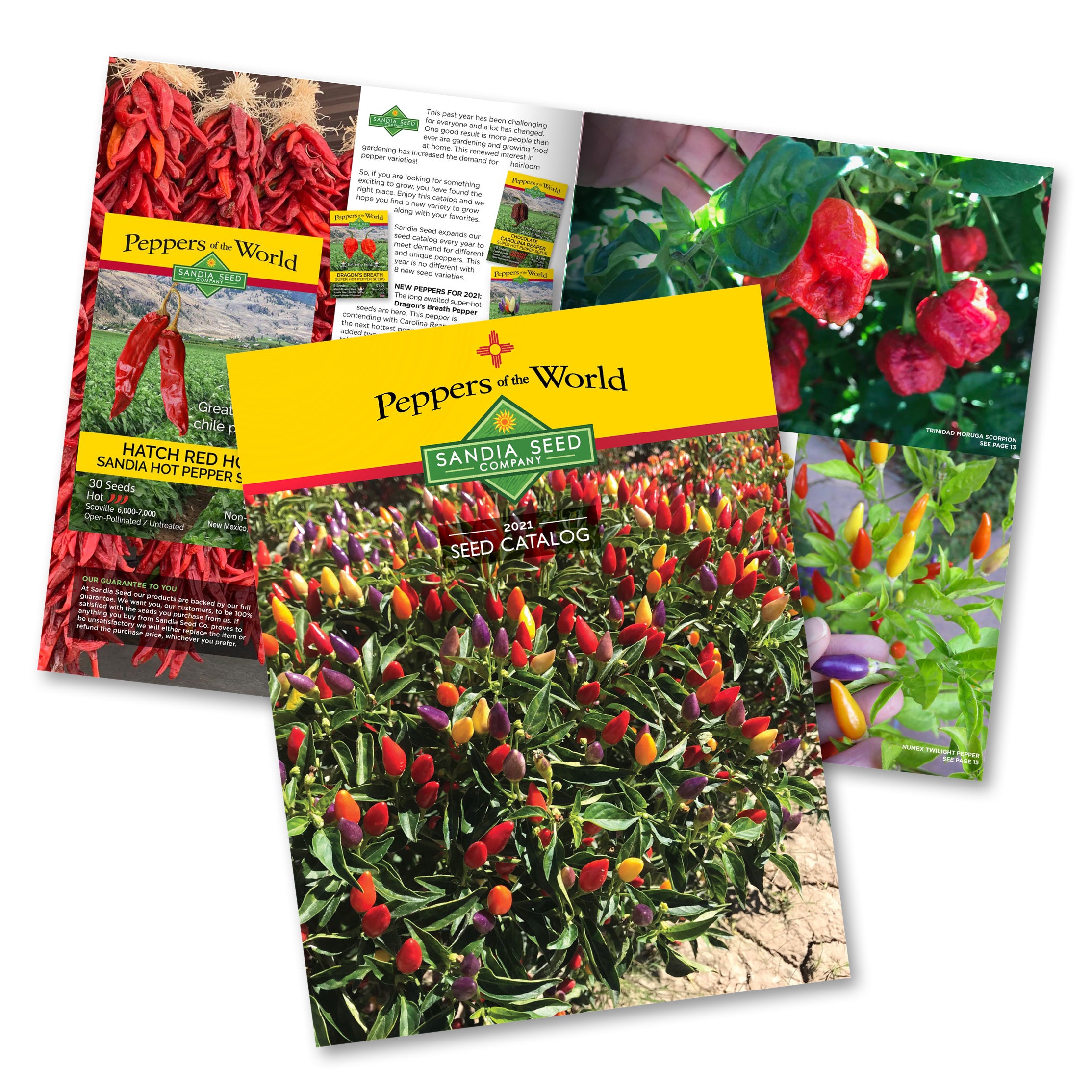 Seed Catalog from Sandia Seed