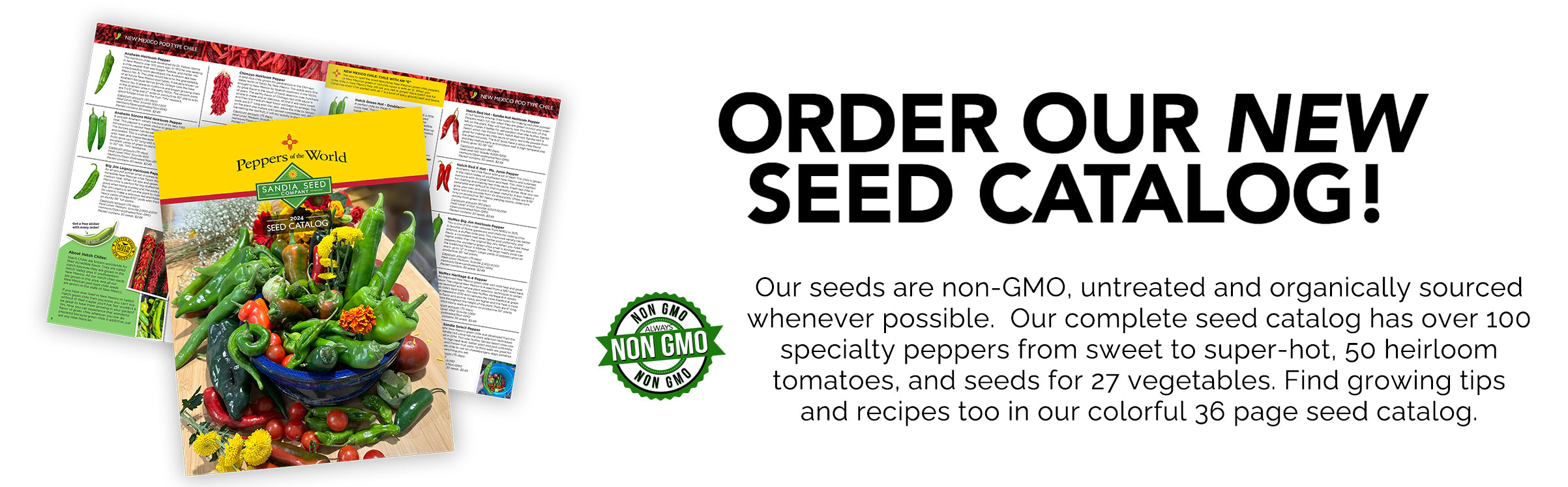 2024 Seed Catalog from Sandia Seed