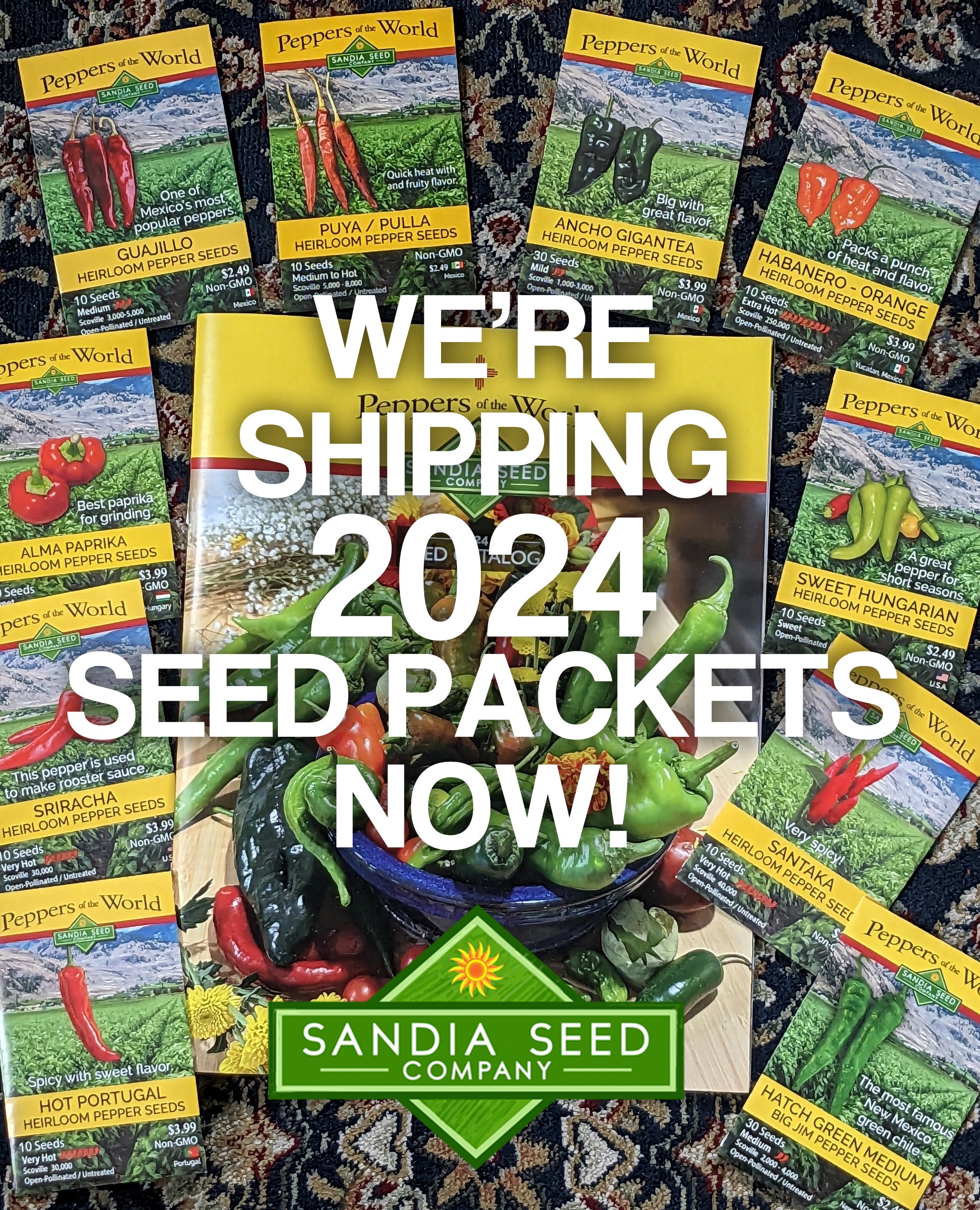 2024 Seeds