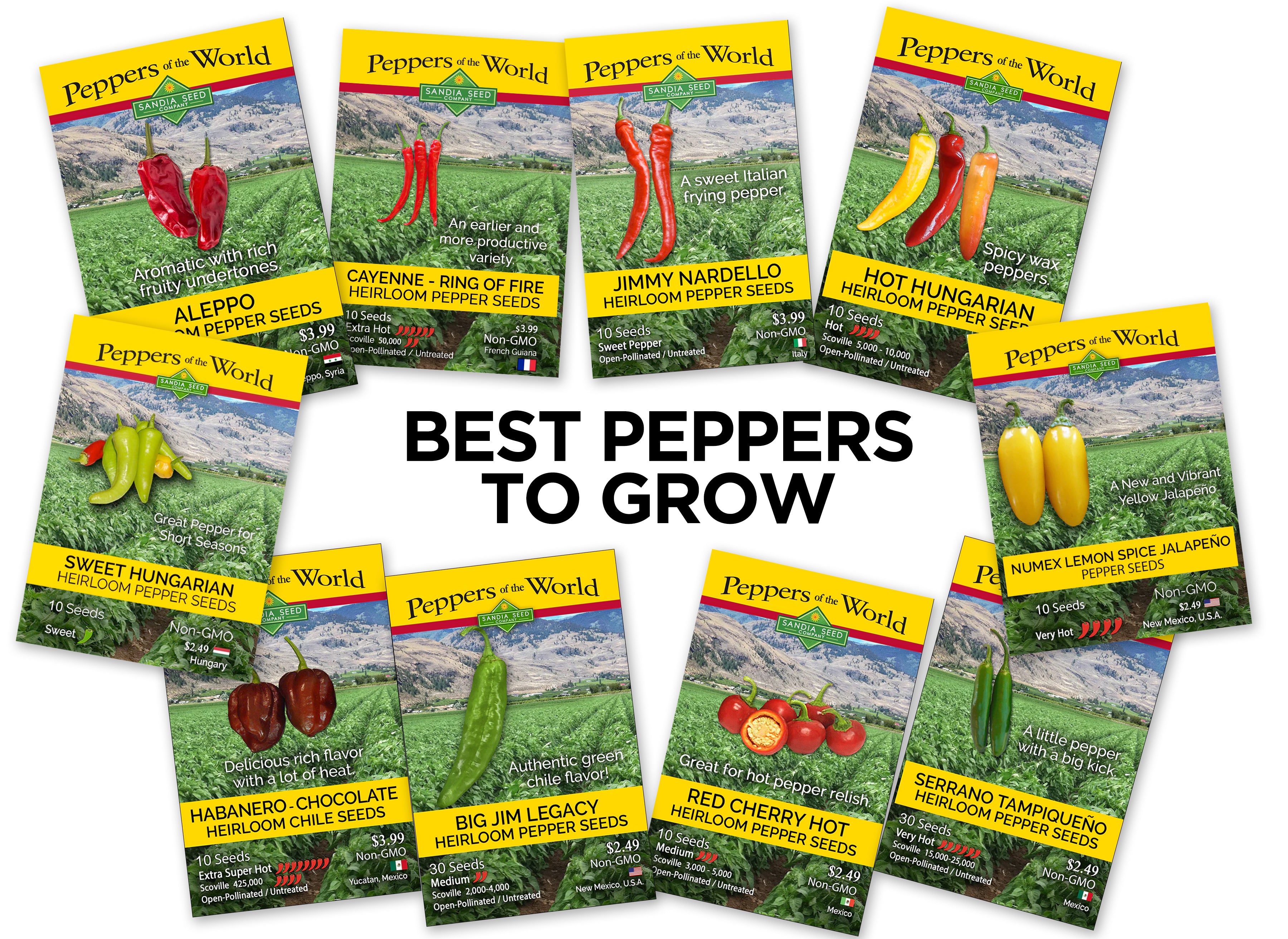 The Best Pepper Corers for 2024