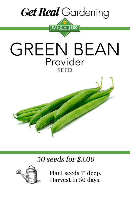 What to plant in August: Green Bean Seeds