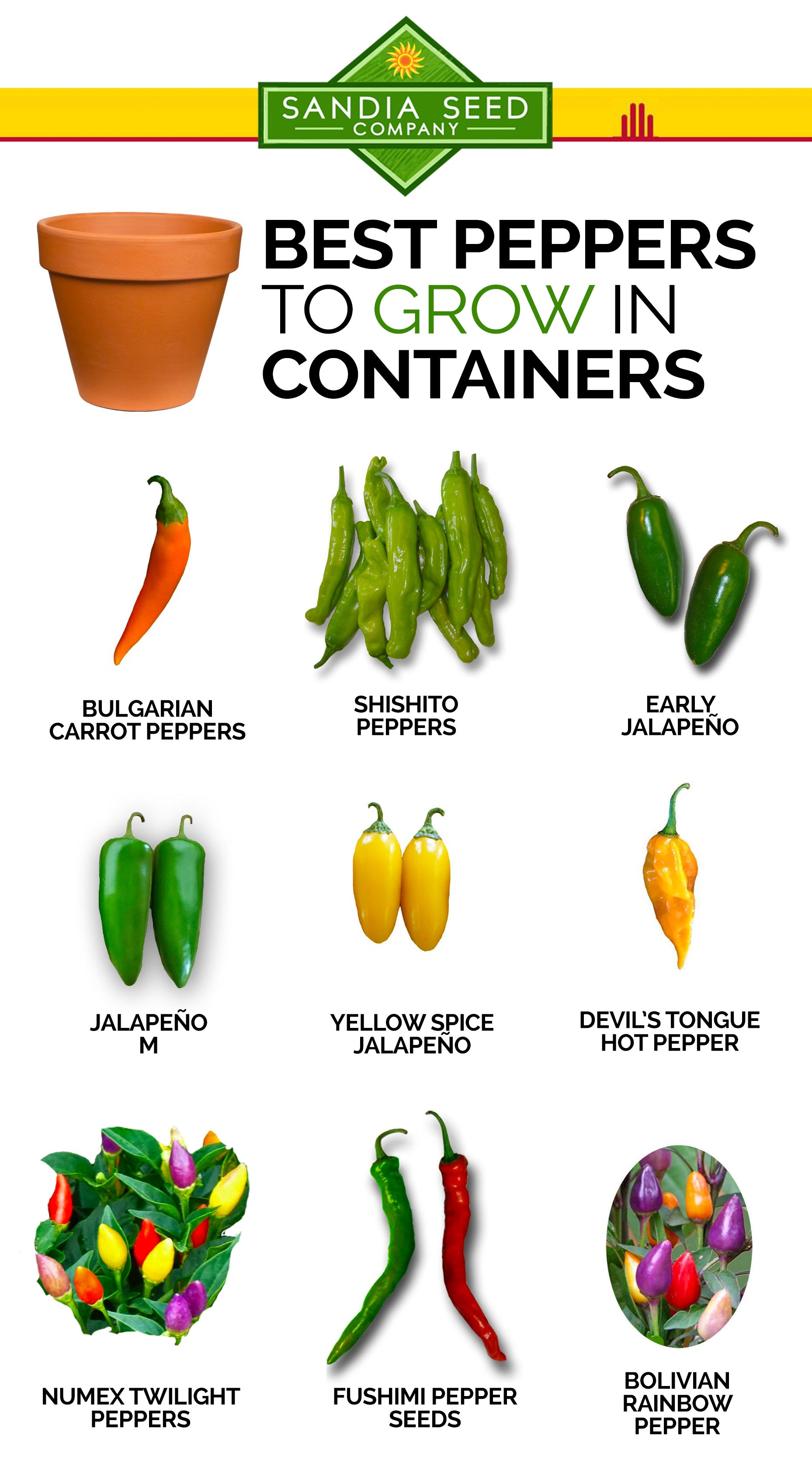 Growing in Containers – Sandia Seed Company