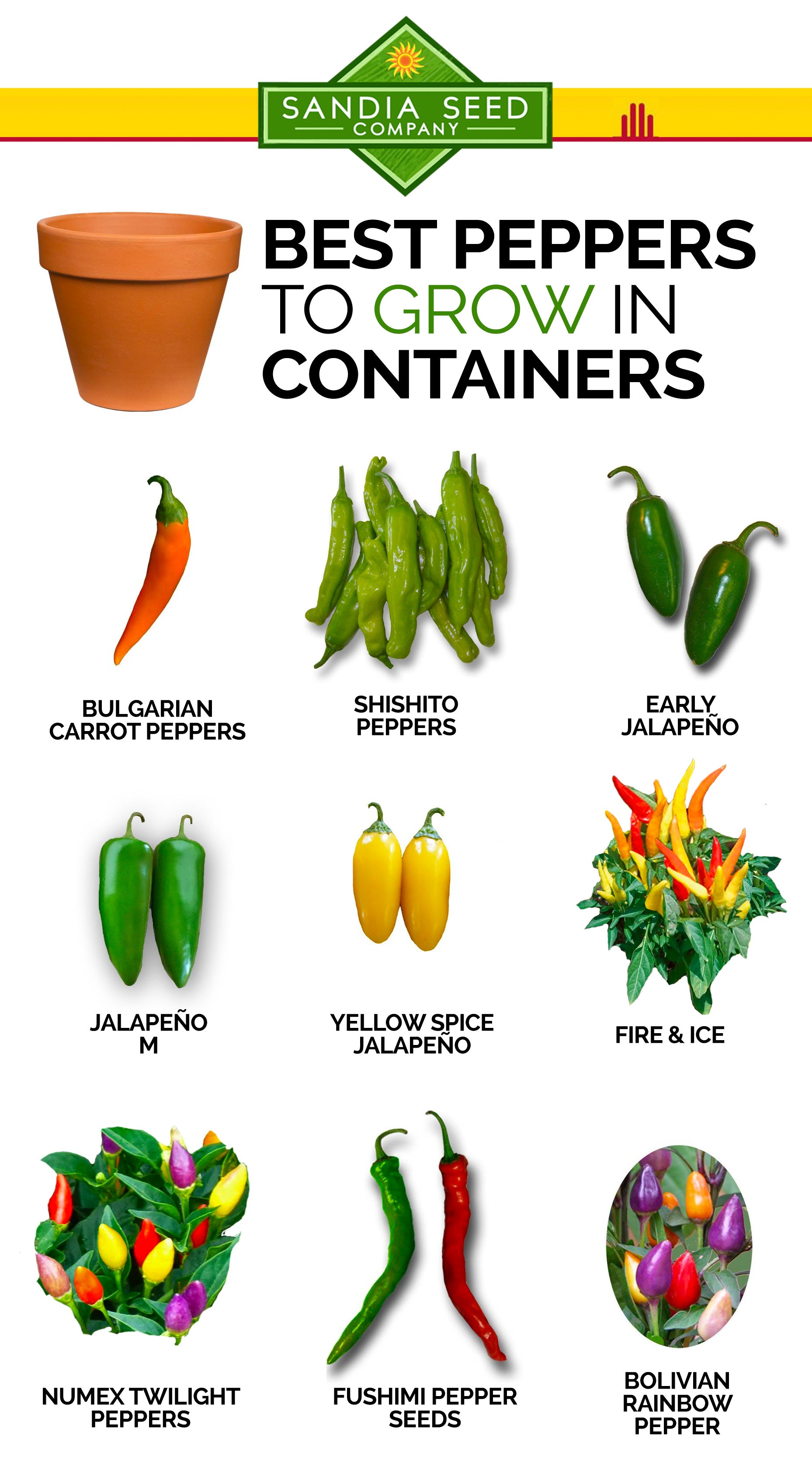 Best chile peppers to grow in pots