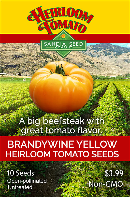 Pink Brandywine Tomato Seeds -- Organically Grown, non-GMO, Heirloom, Made  in Wisconsin - USA