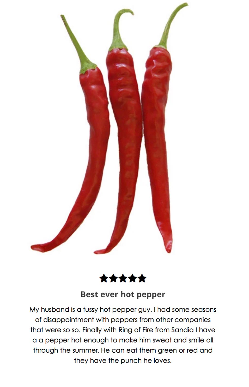 zo Samenpersen samenkomen Best Ever Hot Pepper – Sandia Seed Company