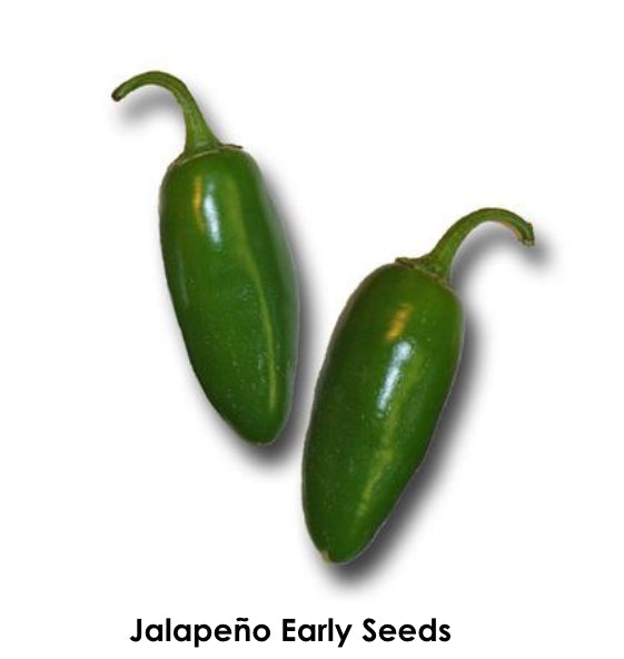 Jalapeño Seeds Sandia Seed Company