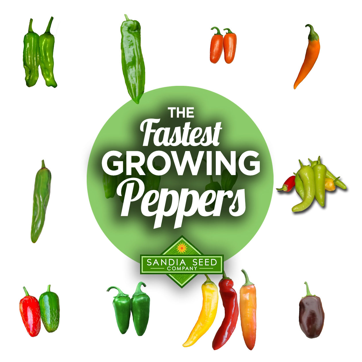 Pepper Seed Germination Time - Fastest Growing Peppers