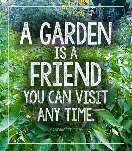 A garden is a friend you can visit any time. sandiaseed.com