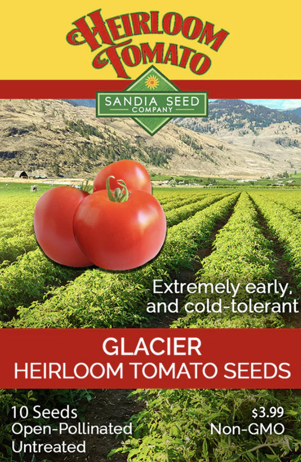 Glacier Tomato Seeds