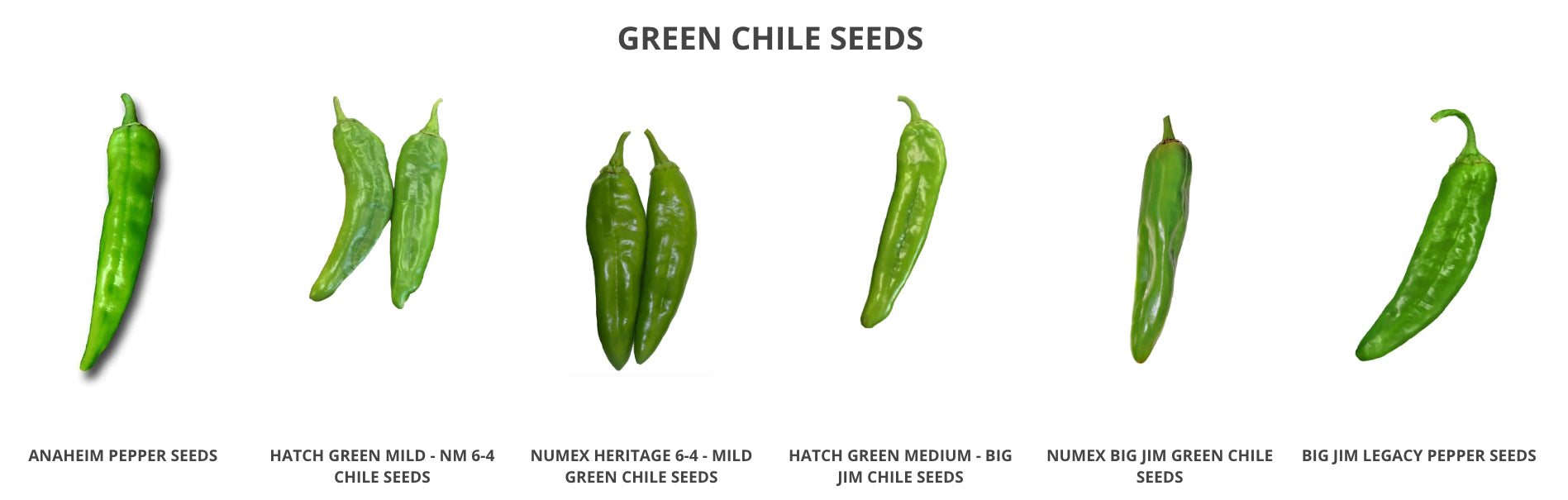 Hatch Chile Seeds