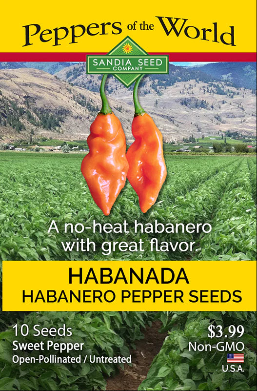 Orange Pepper Seeds - Sweet Habanero without heat: The Habanada