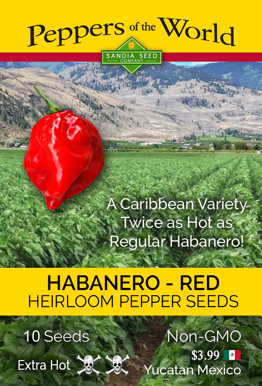 Habanero Seeds - Red