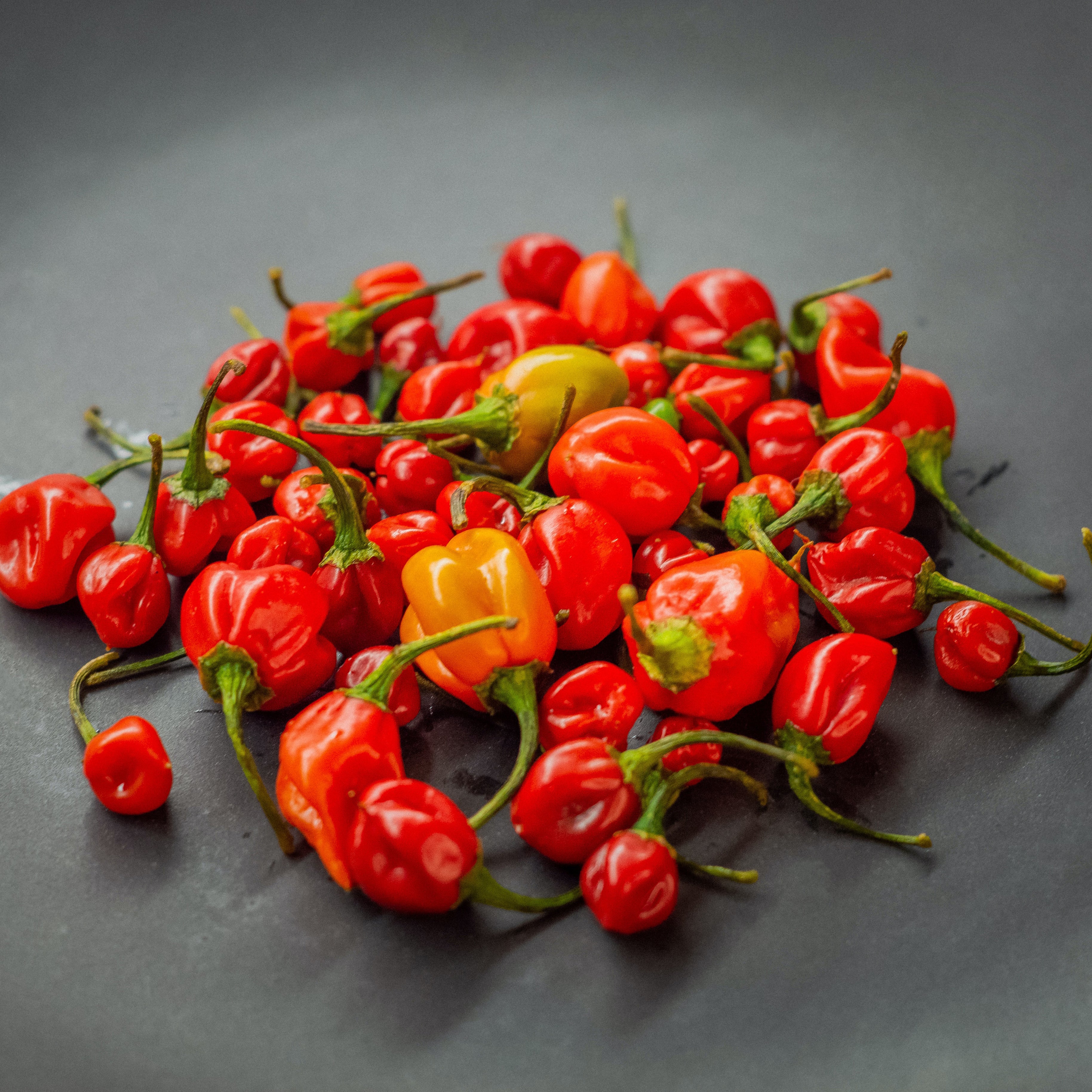 Grow Habanero Seeds