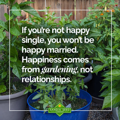 If you’re not happy single, you won’t be happy married. Happiness comes from gardening, not relationships.