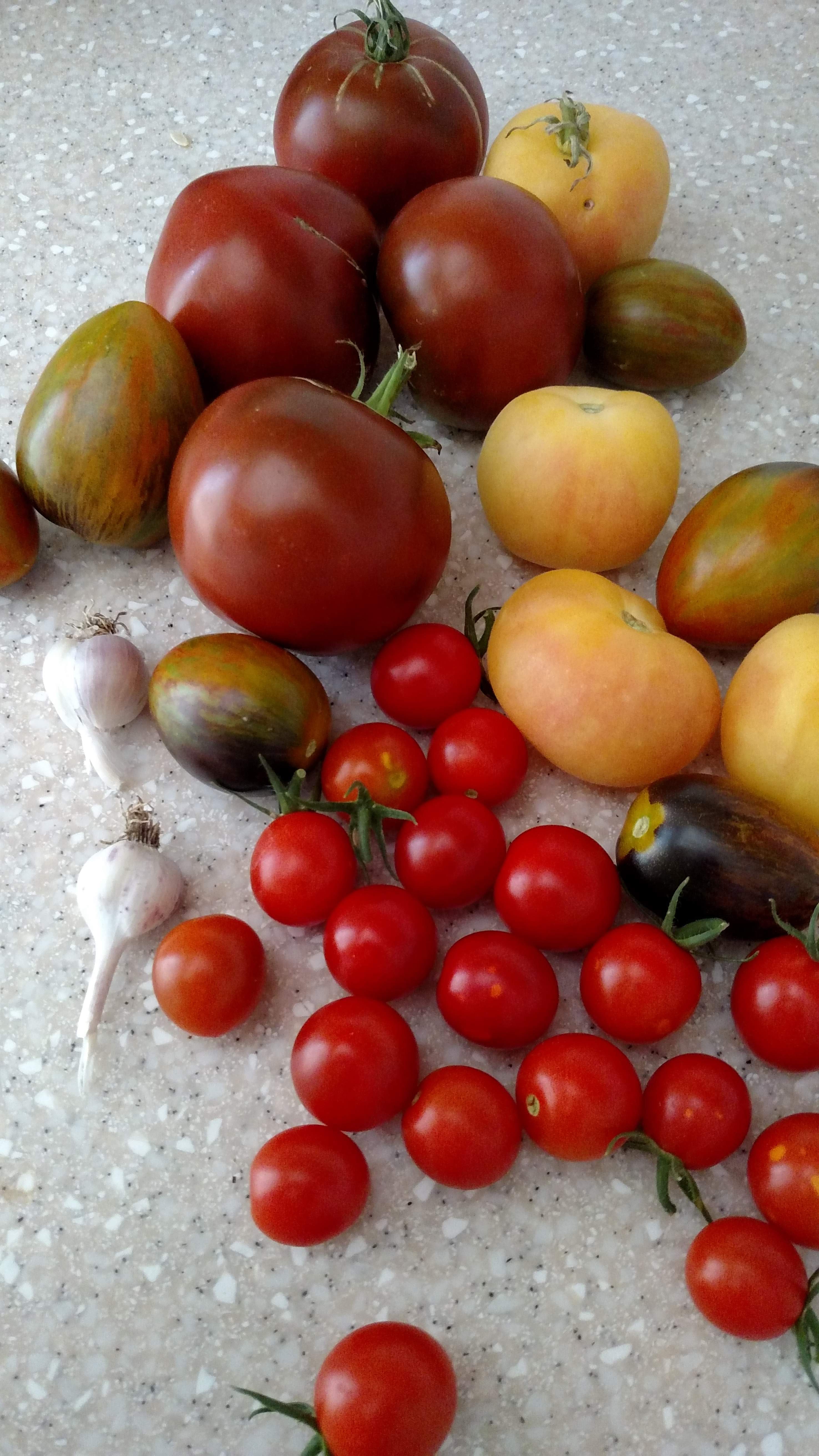 September Vegetables - Harvesting Heirloom Tomatoes