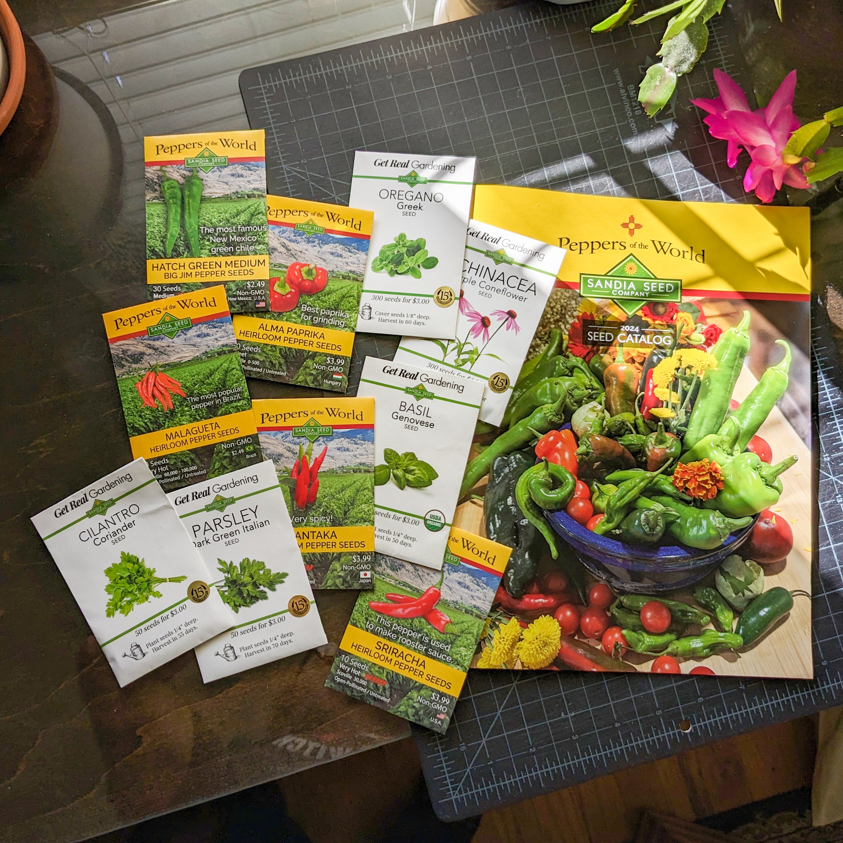 Herb Seeds for Sale