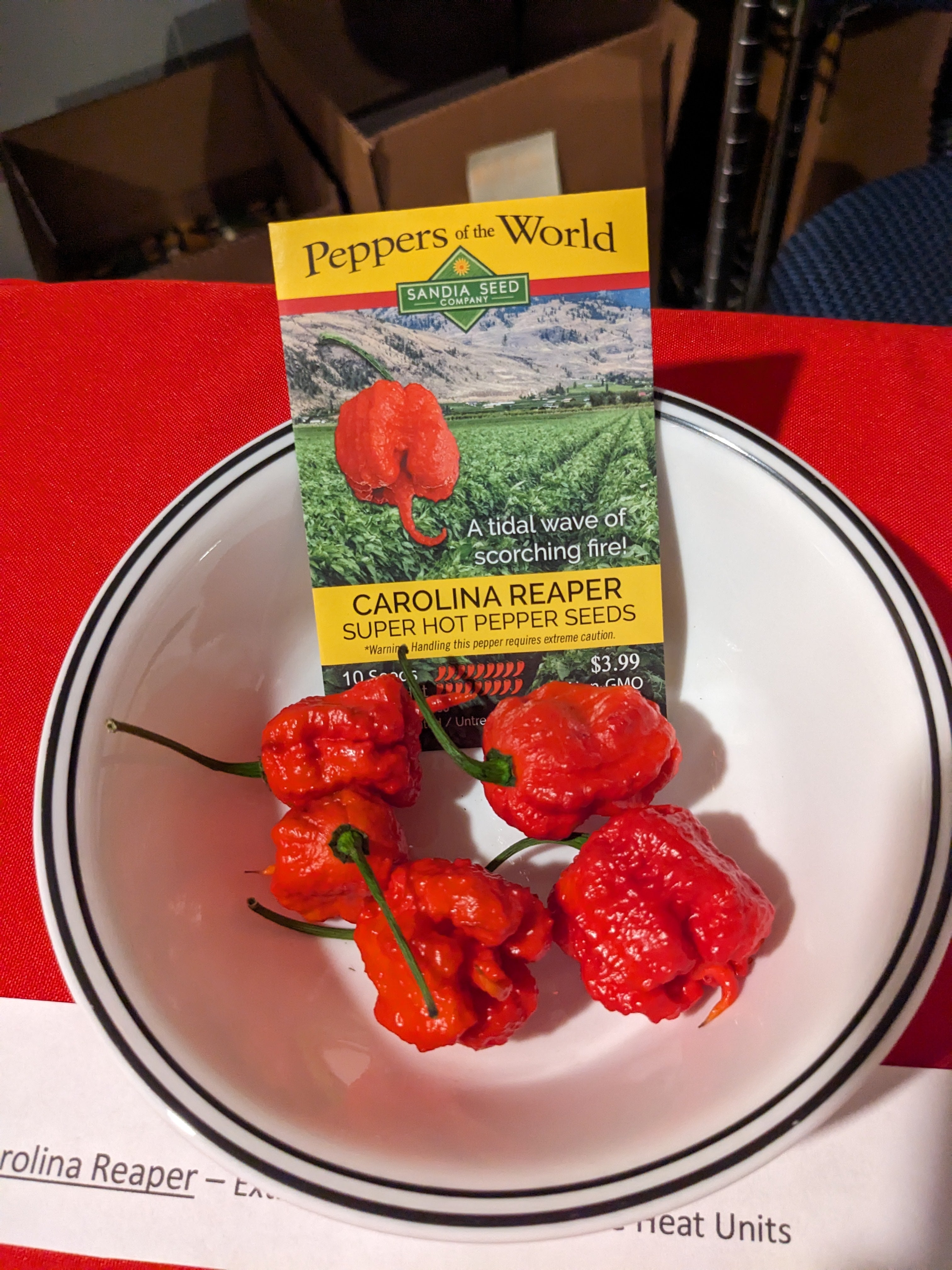 Carolina Reaper Hot Pepper Tasting