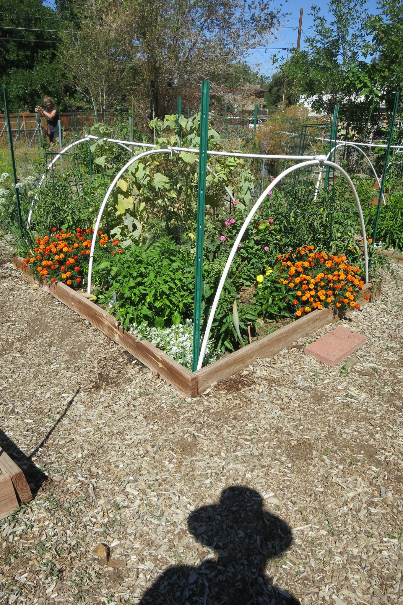 Garden Plot