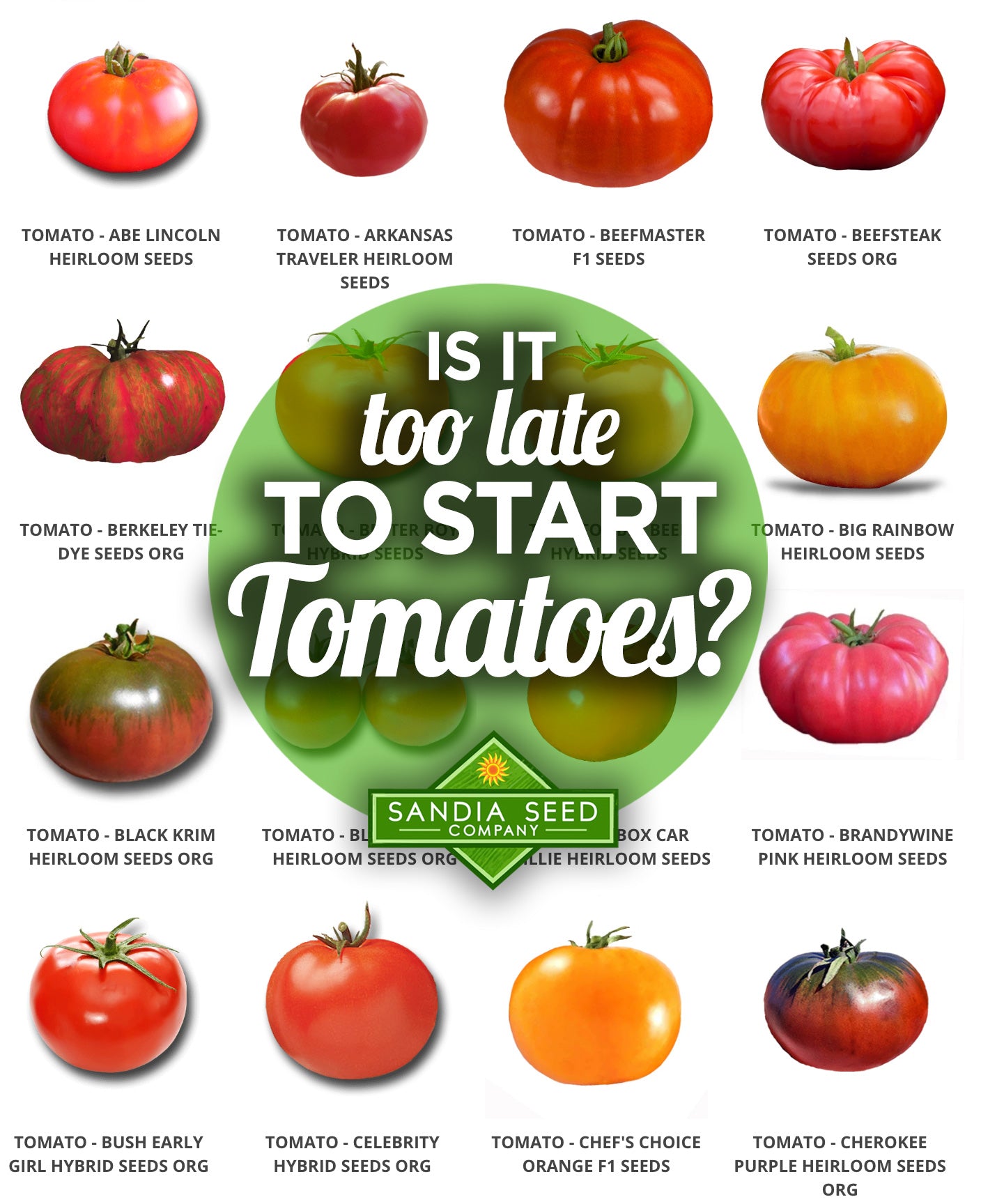 it too late to plant tomato seeds? – Sandia