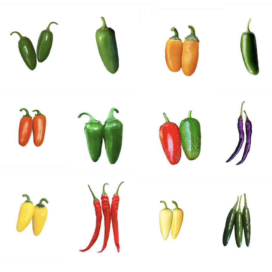 Discount Seeds - sale for Leap Year on Jalapeno seeds, cayenne seeds, and serrano seeds!